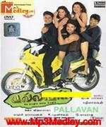 Pallavan 2003